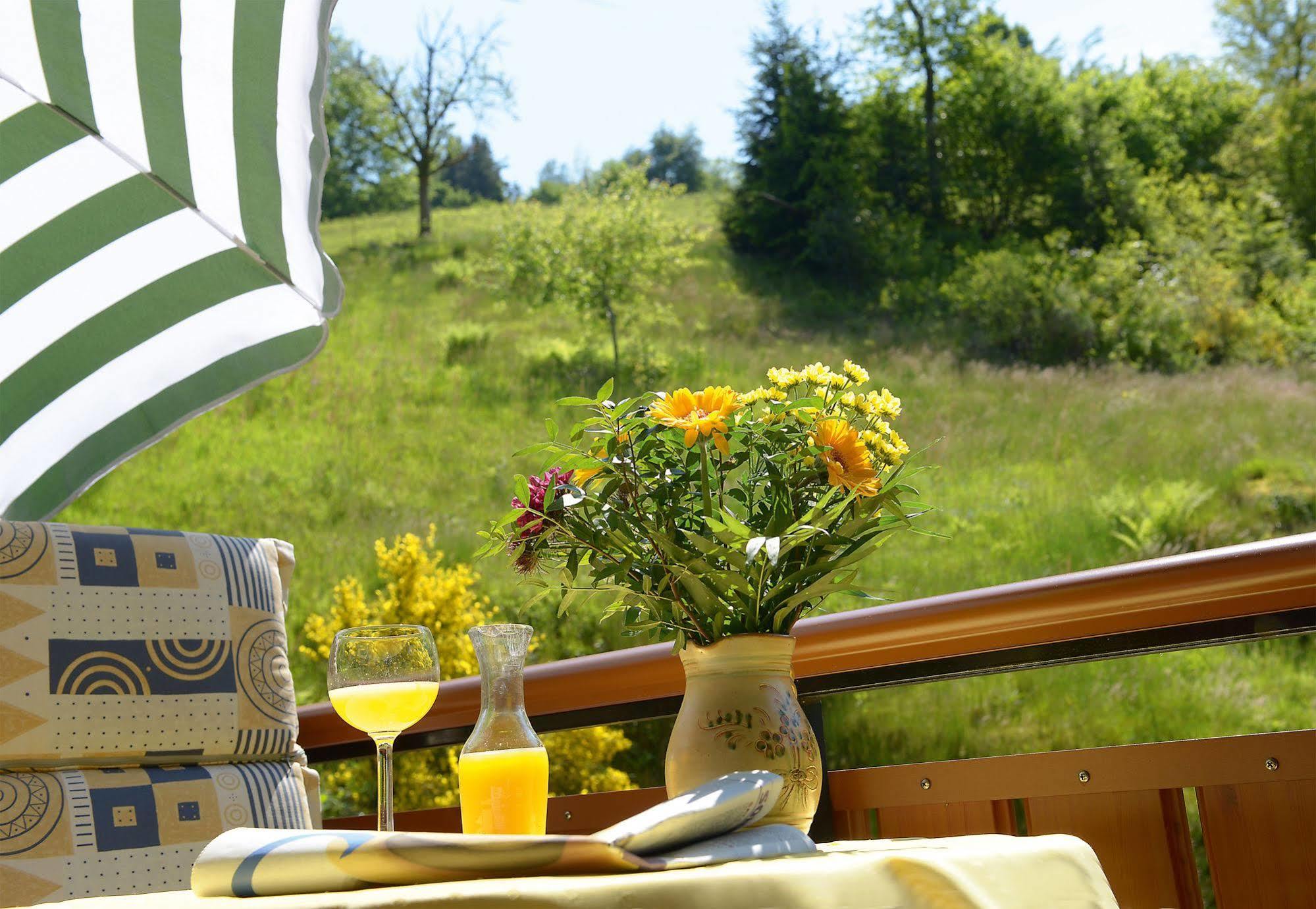 Hotel - Gasthof Blume Oppenau Luaran gambar