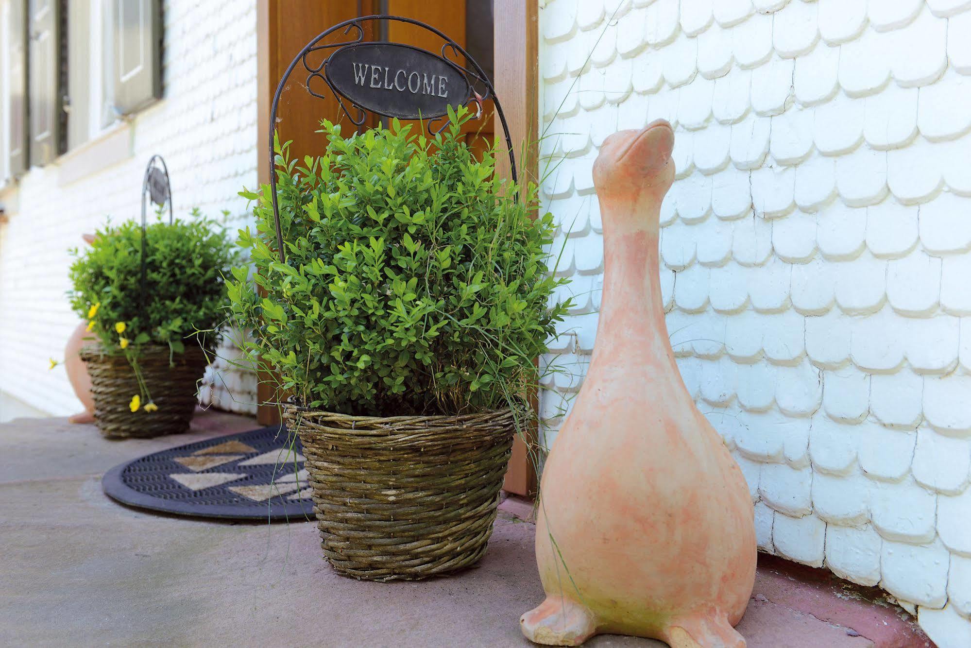 Hotel - Gasthof Blume Oppenau Luaran gambar
