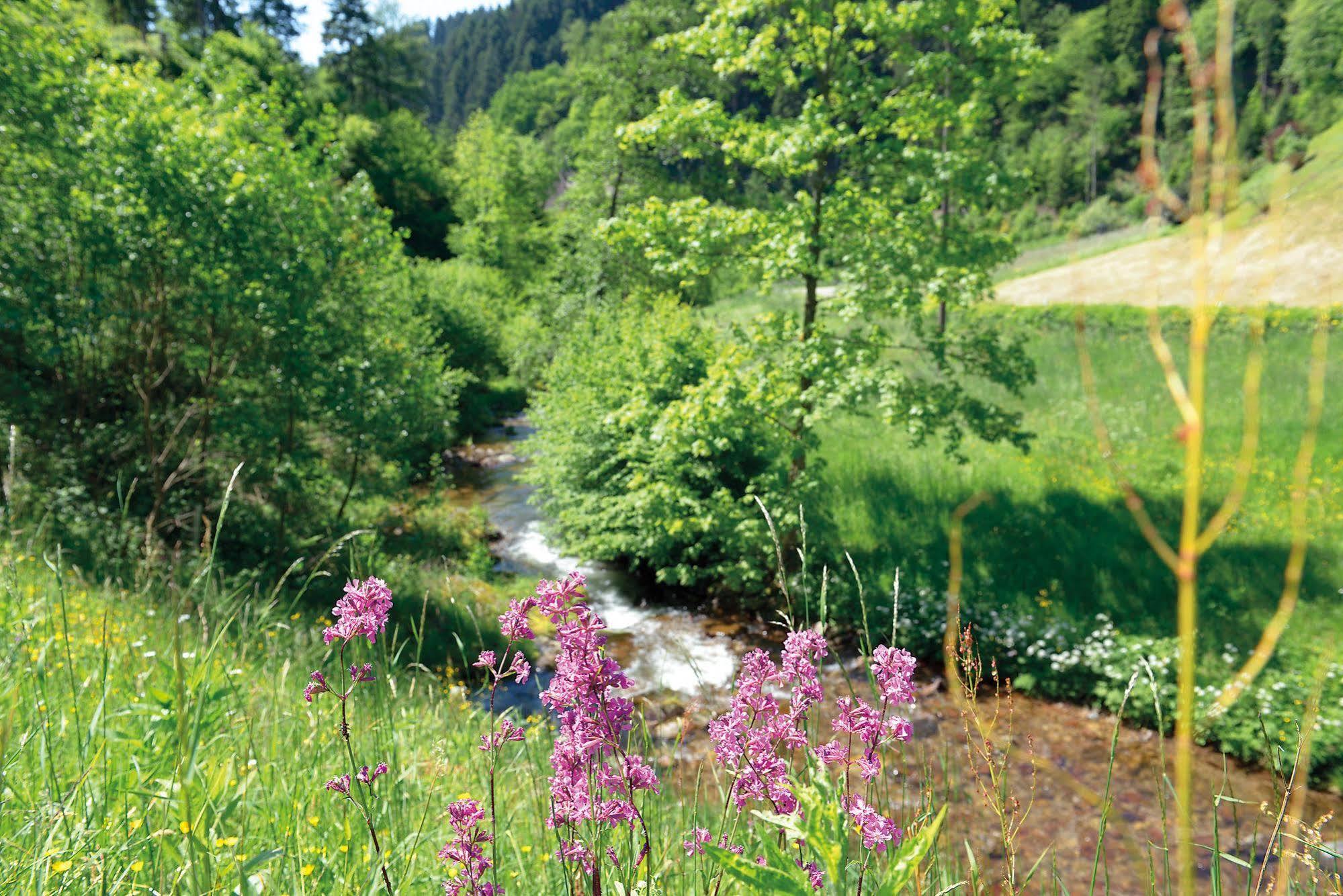 Hotel - Gasthof Blume Oppenau Luaran gambar